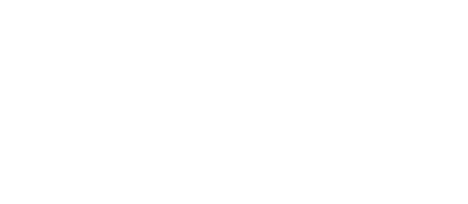 The Big D Logo